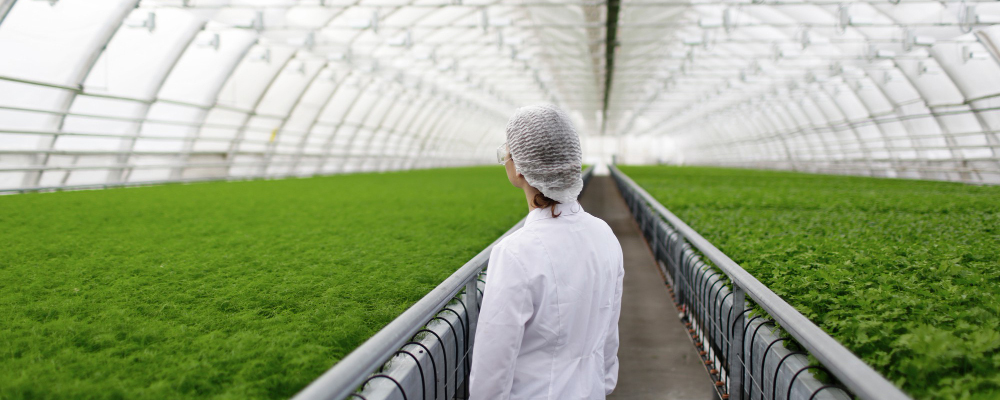 الخدمات الزراعية